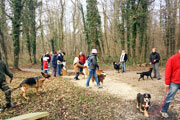 Rencontre canine