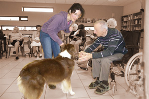 Activité Assistée par l'Animal