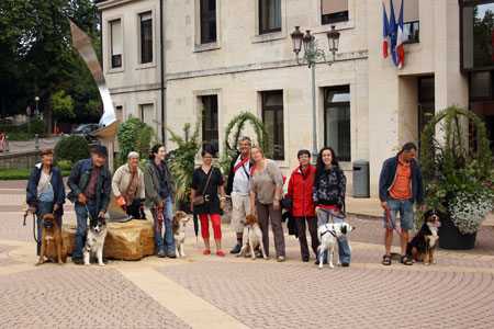 Cerise Griotte : mediation animale