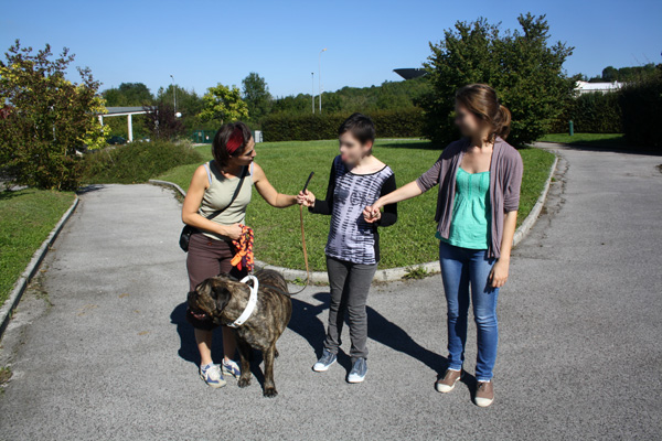 Médiation aniamale avec un chien