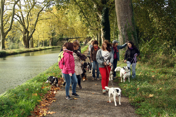 rencontres propriétaires de chiens