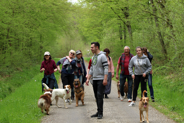 Ballade canine