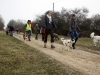 Rencontre canine à Menotey