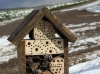 Maison à insectes